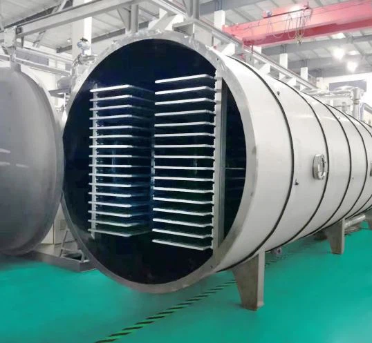 industrial lyophilizer manufacture