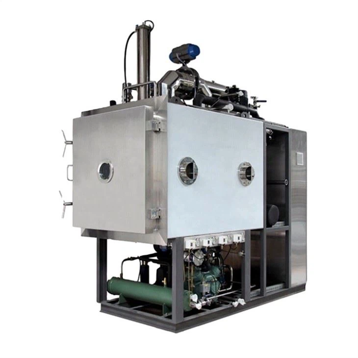 China Food Lyophilizer suppliers