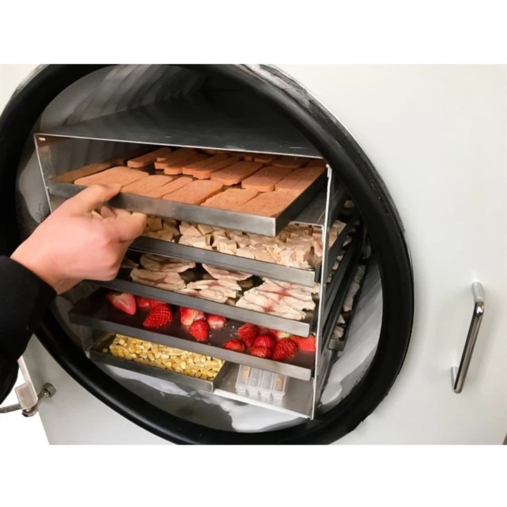 Lemon Freeze Dryer With Pump