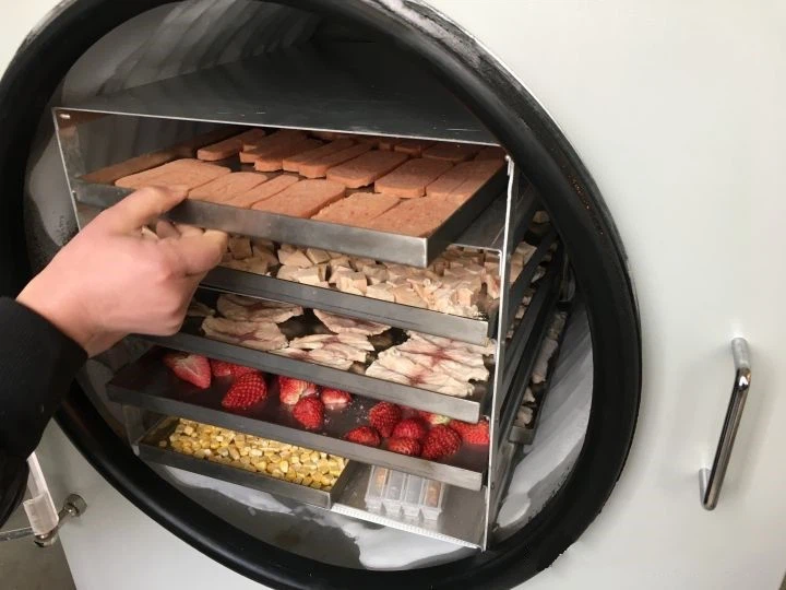 Residential Mini Freeze Dryer For Sale